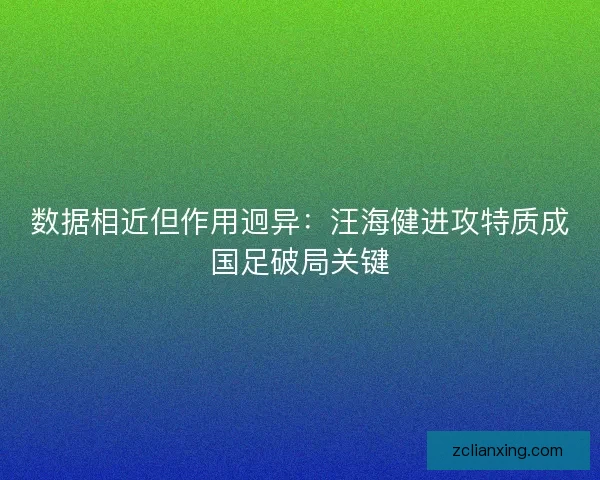 数据相近但作用迥异：汪海健进攻特质成国足破局关键